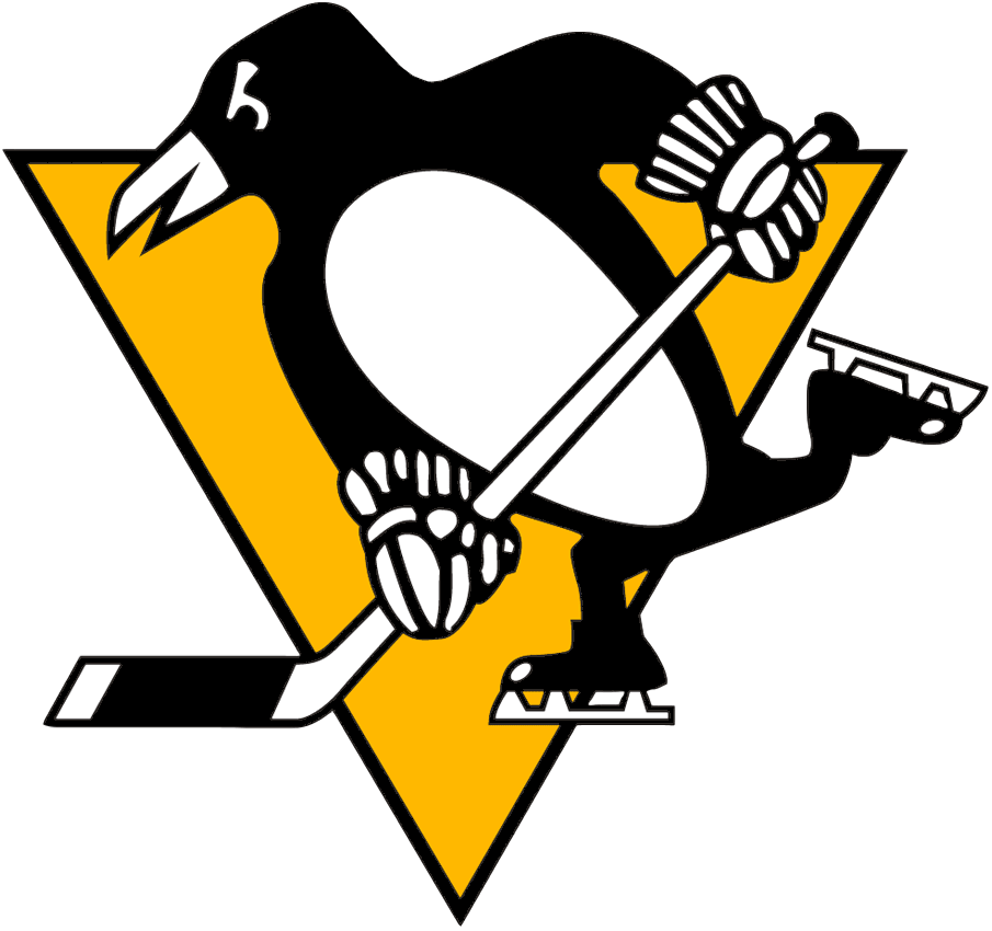 Pittsburgh Penguins sports pet supplies for dogs