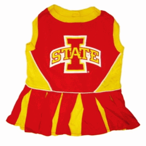 Pets First College Iowa Hawkeyes Cheerleader, 3 Sizes Pet Dress